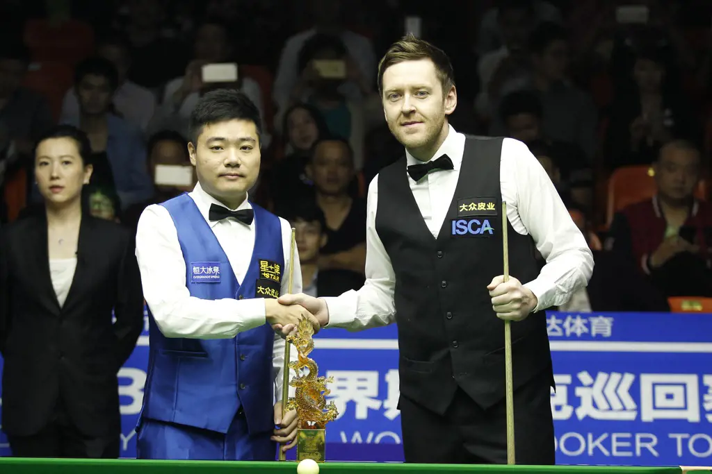 Ding Junhui has a net worth of $3 million because of his successful career as a professional snooker.