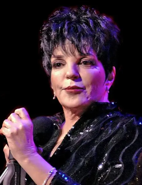 Does Liza Minnelli Have Any Health Problems? Everything To Know About The Actress