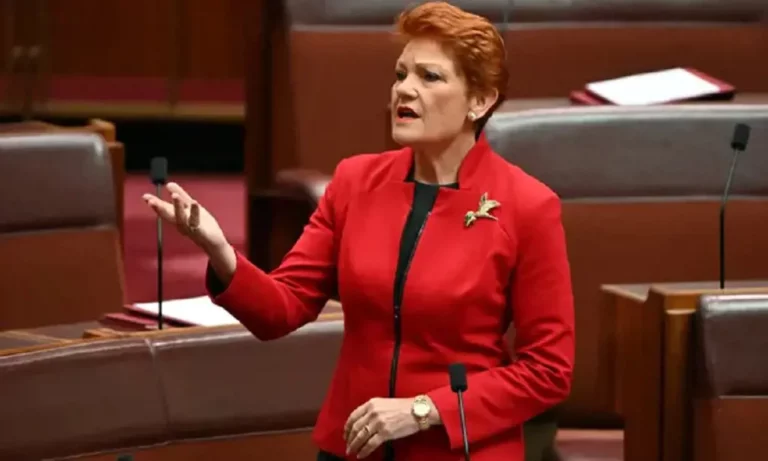 Is Pauline Hanson Indigenous? Slammed Racist For Storming Of Senate